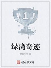 绿湾奇迹txt 绿湾奇迹txt