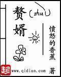 赘婿导演 赘婿导演