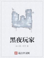 黑夜玩家TXT下书网 黑夜玩家TXT下书网