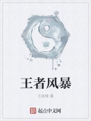 王者风暴贴吧 王者风暴贴吧