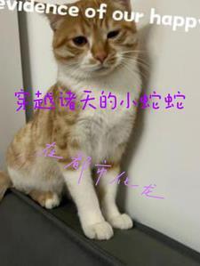 诸天穿越从龙蛇开始sodu 诸天穿越从龙蛇开始sodu