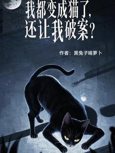 都市我变成了一只猫 都市我变成了一只猫
