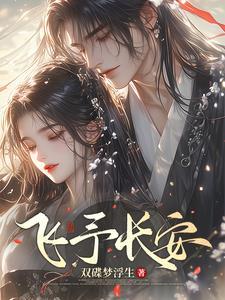 飞过长安