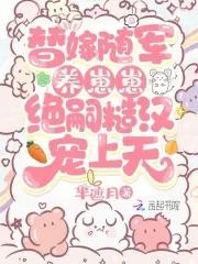 替嫁将军阅读