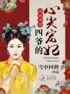 四爷的心尖宠妃演员表 四爷的心尖宠妃演员表