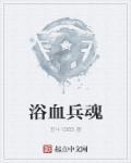 浴血兵魂正版阅读免费