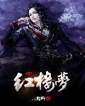 穿越红楼梦 武侯 穿越红楼梦 武侯
