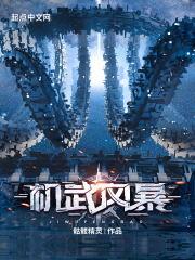 机武风暴无错字精校版笔趣阁 机武风暴无错字精校版笔趣阁