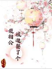 被迫娶了个傻相公 被迫娶了个傻相公