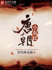 唐朝小农民 唐朝小农民