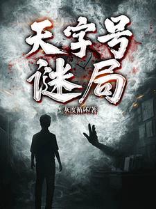 天字号谜局 天字号谜局