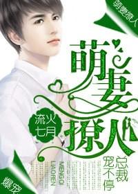 萌妻撩人:总裁,宠不停 萌妻撩人:总裁,宠不停