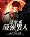 晶壁系最强男人 晶壁系最强男人