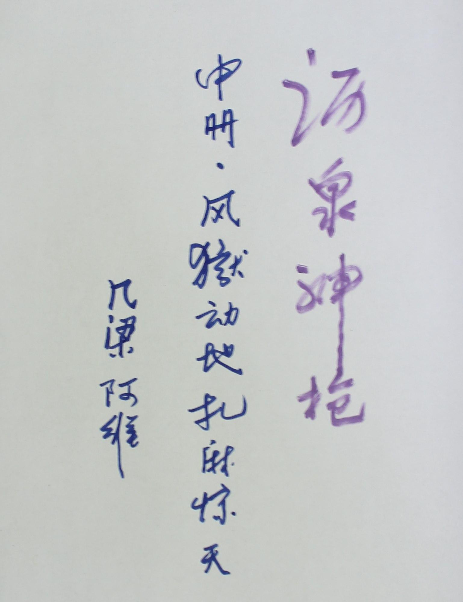 沥泉神枪中册 沥泉神枪中册