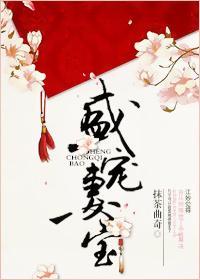 盛宠妻宝 盛宠妻宝