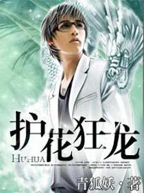 护花狂龙 护花狂龙