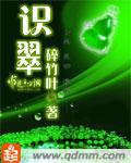 识翠 识翠