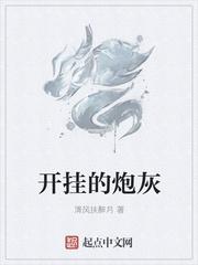 开挂的炮灰 开挂的炮灰