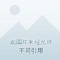 我有一个修仙世界 我有一个修仙世界