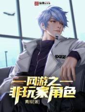 网游之非玩家角色 网游之非玩家角色