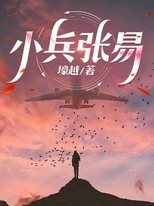小兵张嗄电视剧大全集 小兵张嗄电视剧大全集