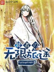 贤者大人的无限旅途