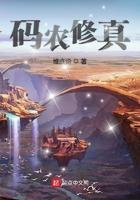 码农修真 维度论